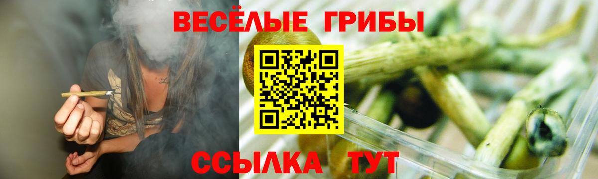 Галлюциногенные грибы Cubensis Ессентуки